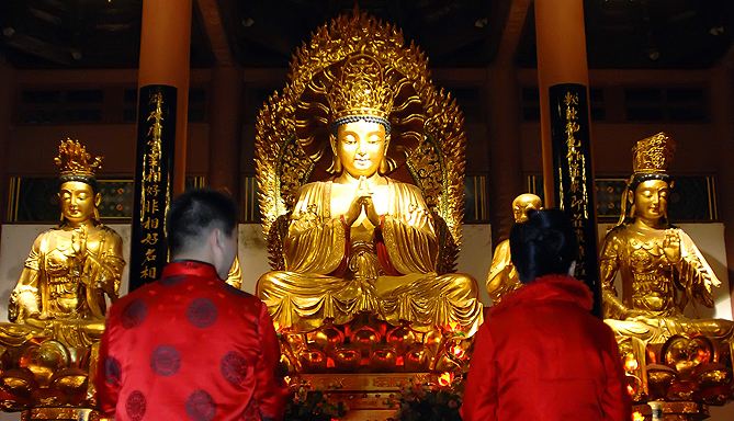 佛教三毒解释是什么？