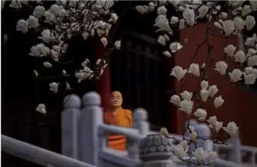 佛教准提咒唱诵